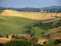 Paesaggio Oltrep Pavese