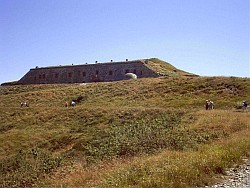 forte geremia